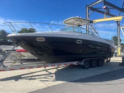 2009 Sea Ray Amberjack 290